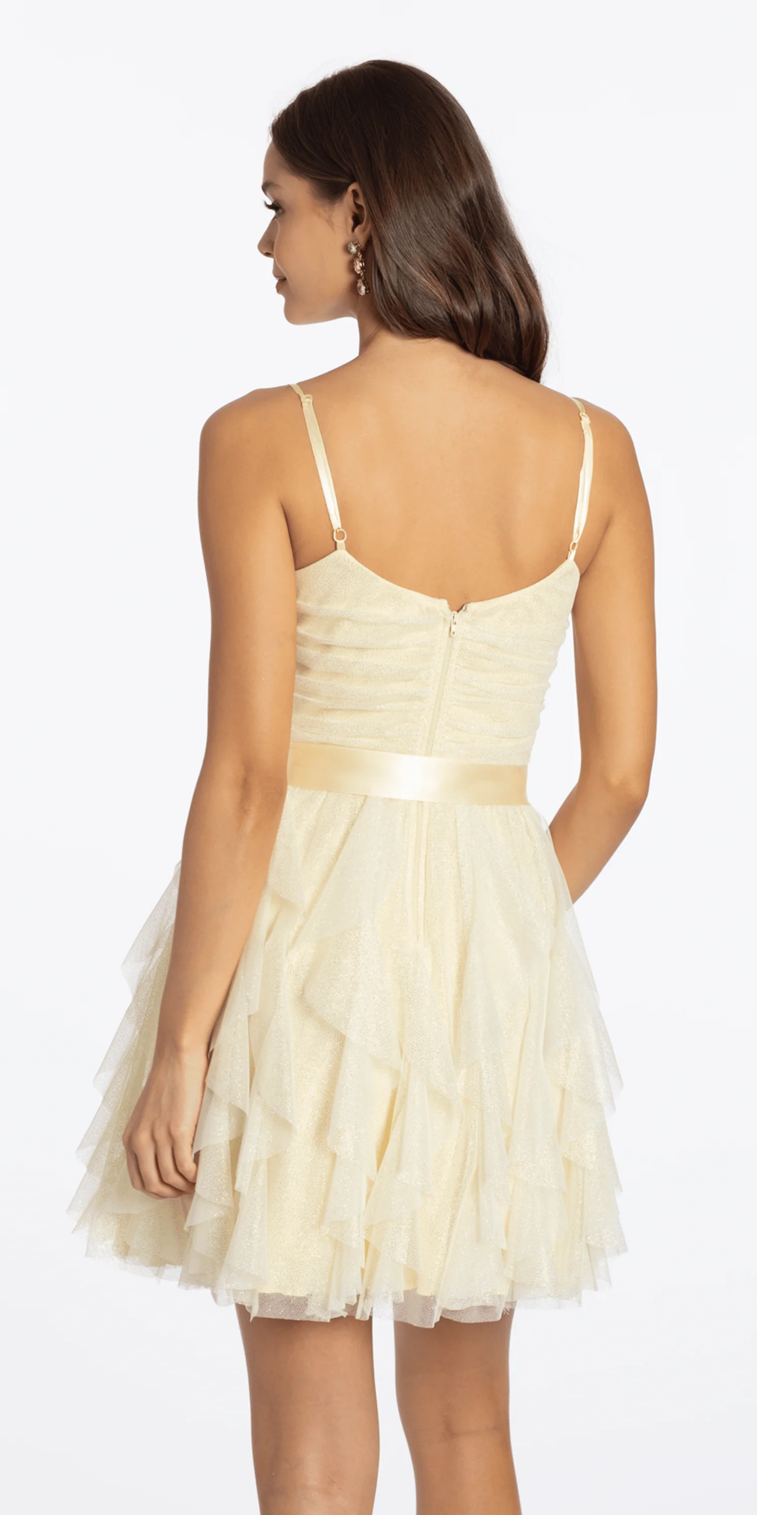 Glitter Mesh Corset Fit and Flare Dress with Satin Tie - Image 4